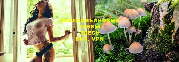 кокс Алексеевка