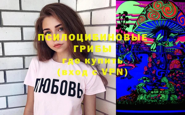 герыч Алексин