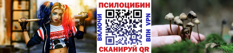 Псилоцибиновые грибы Psilocybe  дарнет шоп  Харовск 